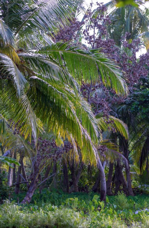 Silver County Hotel, Fuvahmulah - Maldives Екстер'єр фото